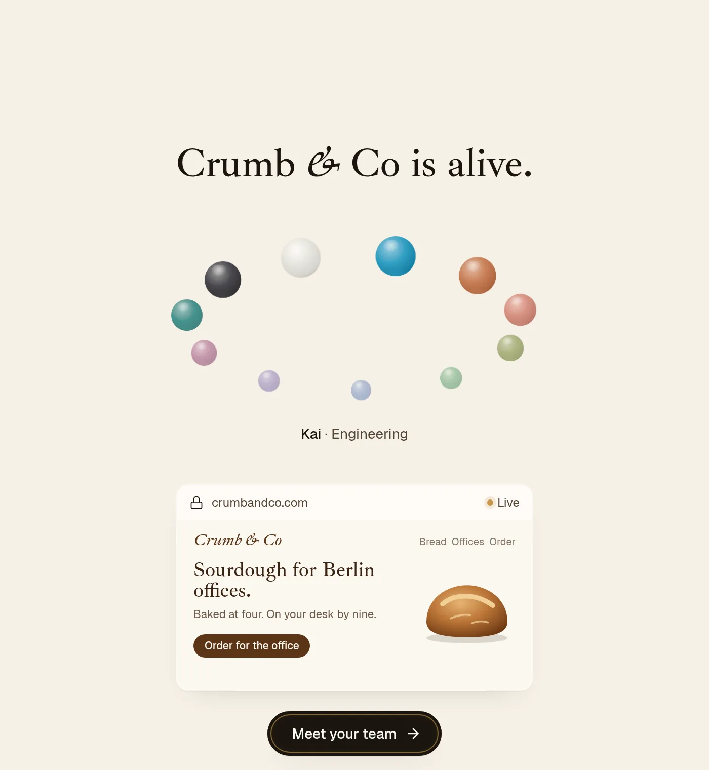 The launch screen: the company is alive, its website is live, the team is awake